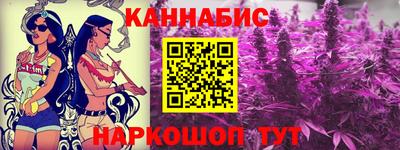 шишки Аргун