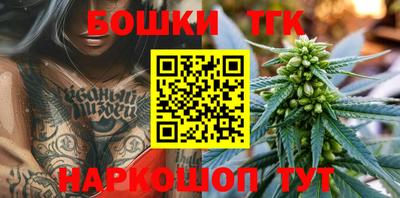 шишки Аргун