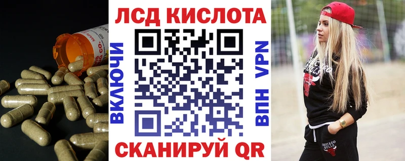продажа наркотиков  hydra как войти  Лсд 25 экстази кислота  Ефремов 