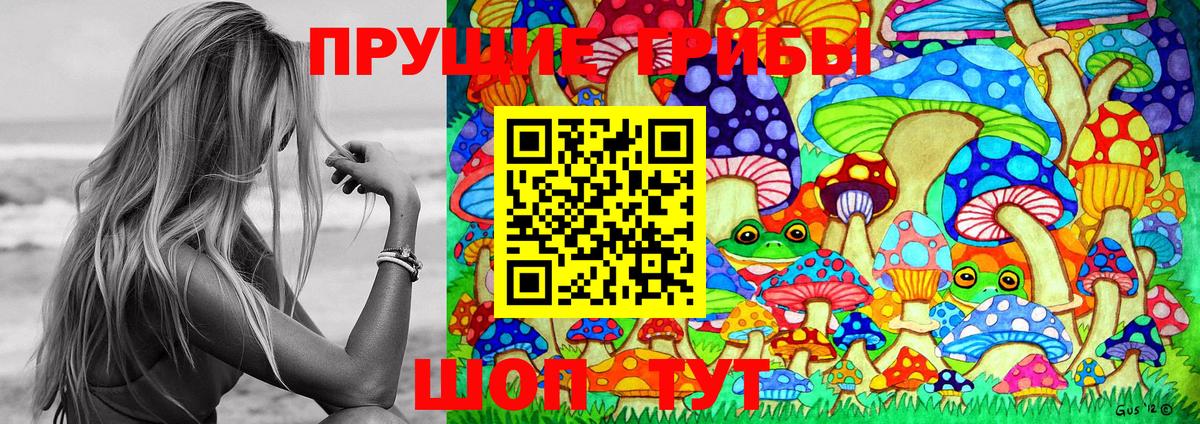 Псилоцибиновые грибы мицелий  Ефремов 