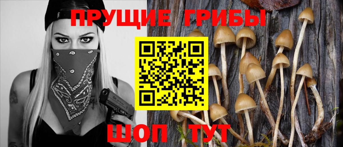 Ефремов  Псилоцибиновые грибы мухоморы  Вход с VPN 